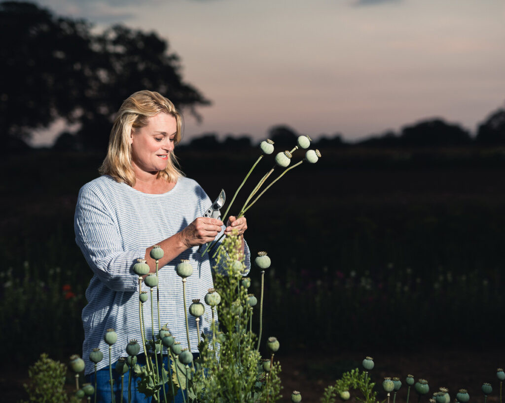 the southwold flower company 0296 20190716 copyright bob foyers photography