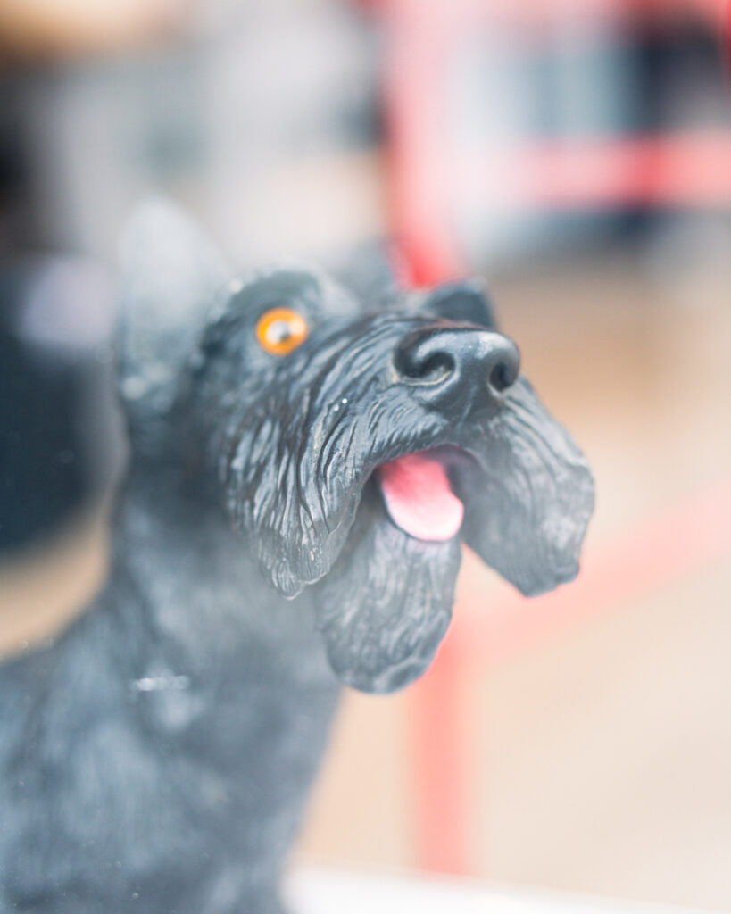 the black dog deli yoxford foyers photography 6660