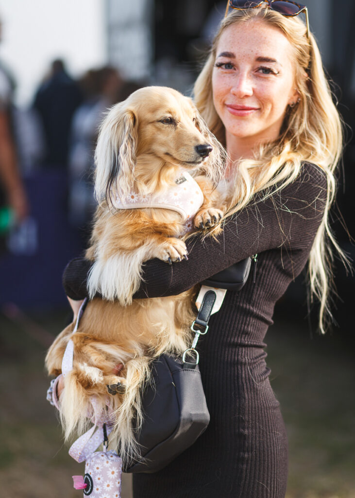 southwold sausage dog walk 2023 foyers photography 5