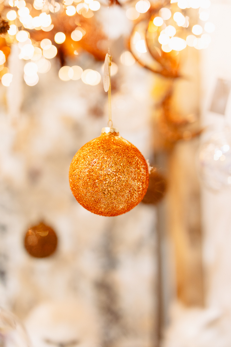 redhouse christmas barn foyers photography 513