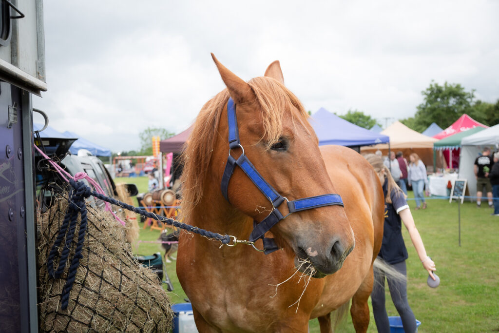 rendlesham show 08 june 24 foyers photography 114