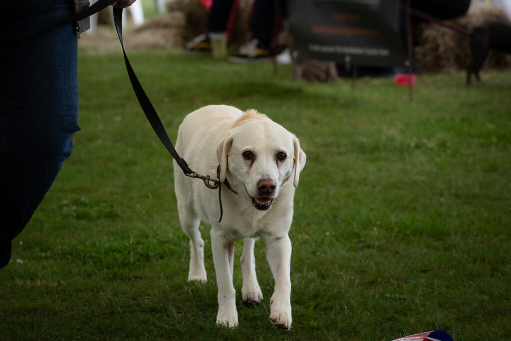 rendlesham show 08 june 24 foyers photography 900