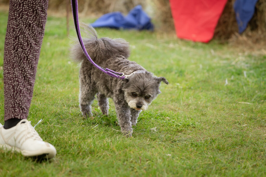 rendlesham show 08 june 24 foyers photography 1046