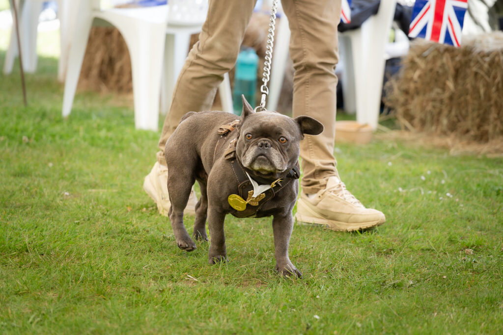 rendlesham show 08 june 24 foyers photography 1053