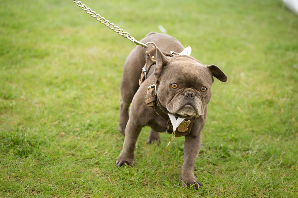 rendlesham show 08 june 24 foyers photography 1067