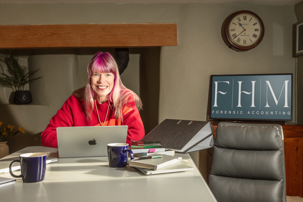 Personal branding photograph for FHM Forensic Accounting, a woman with pink hair working at a laptop in her office
