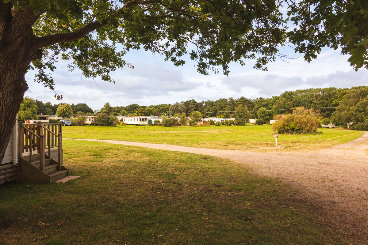 Peaceful caravan park with trees and open field.