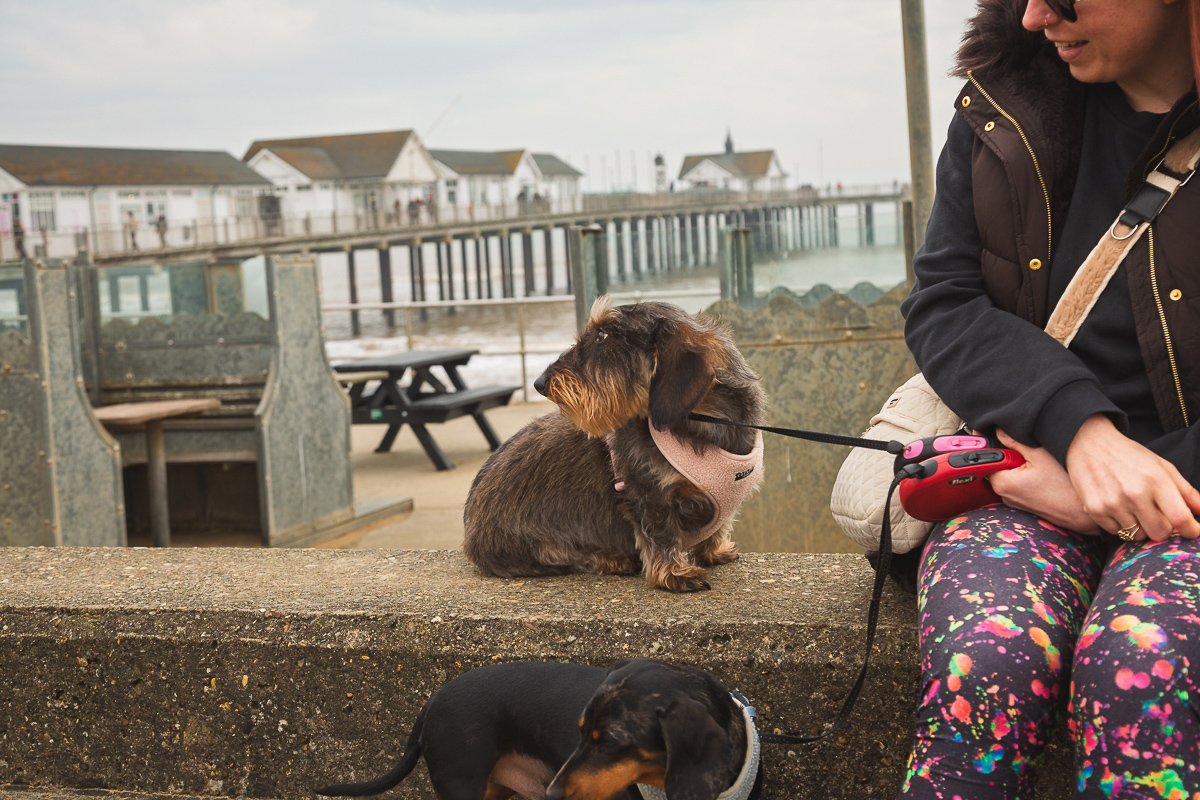 Woman with two dogs by seaside pier.