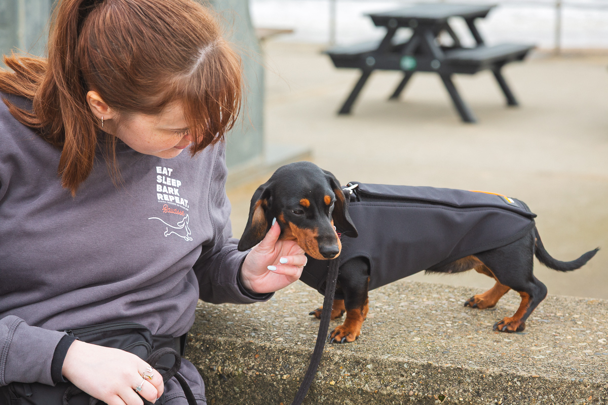 Woman petting dachshund in jacket outdoors.