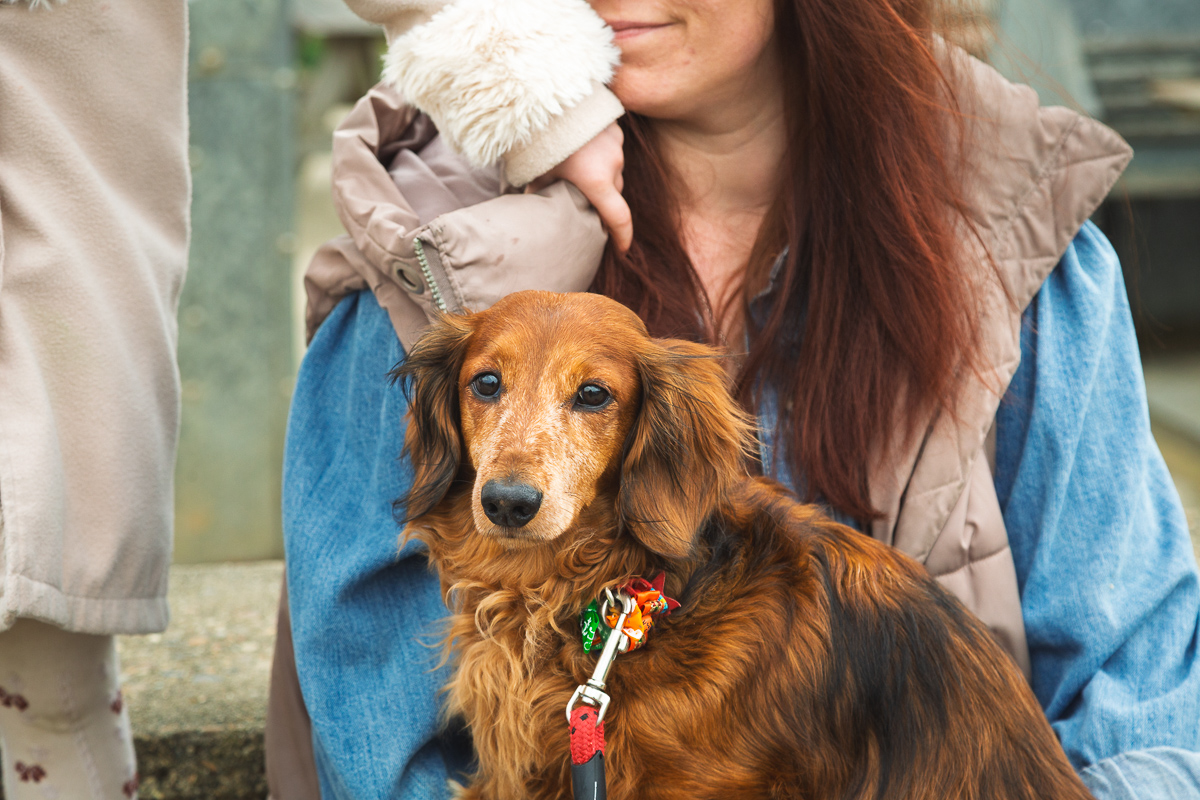 Woman with brown dog on leash