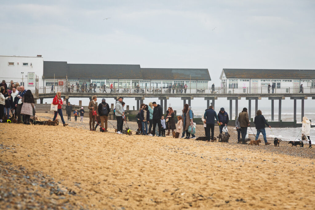 Group walking dogs on sandy beach by pier.