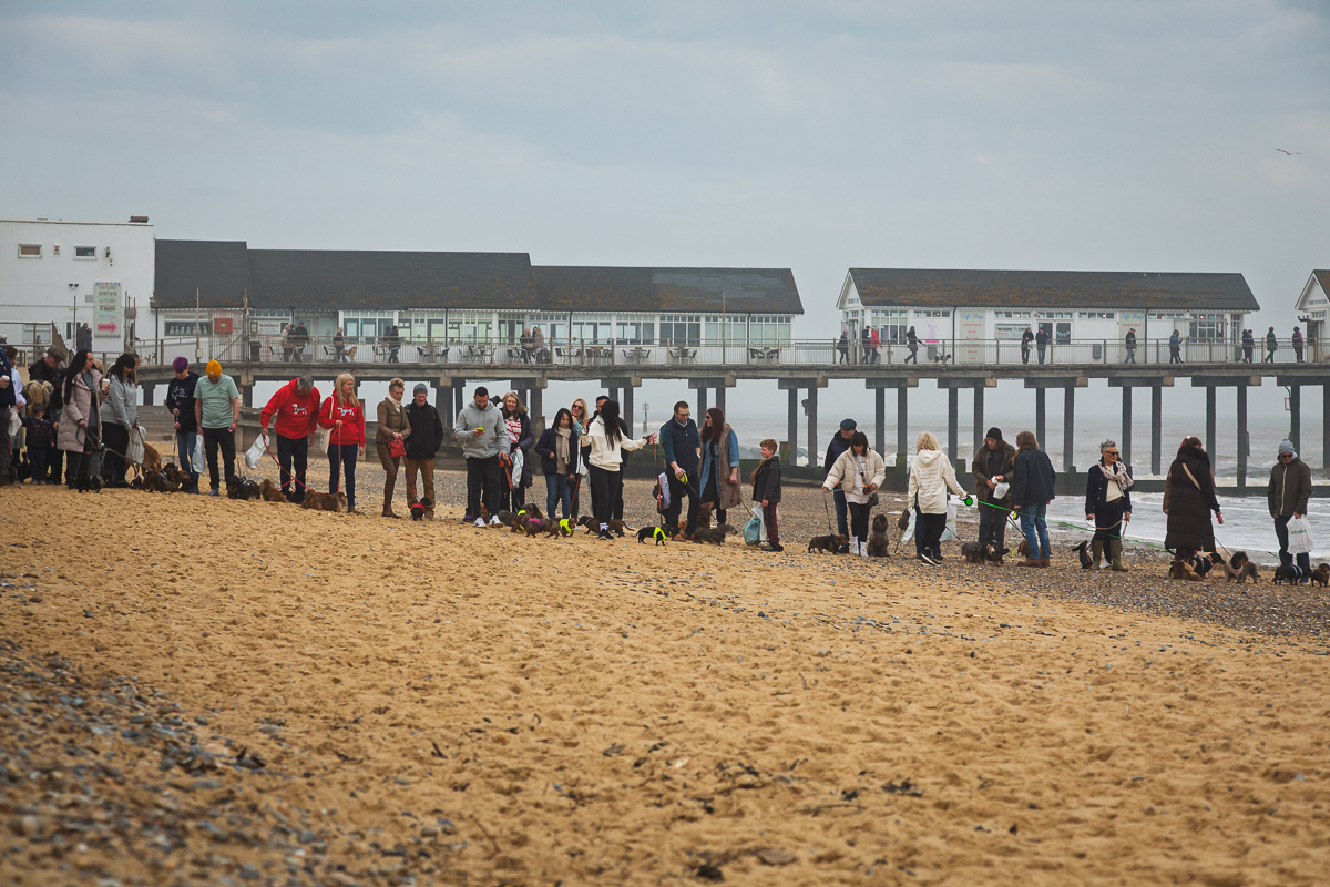 People with dogs on beach near pier