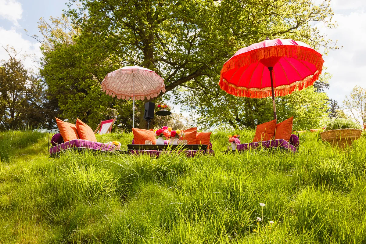 Colourful picnic setup with umbrellas in grassy meadow.