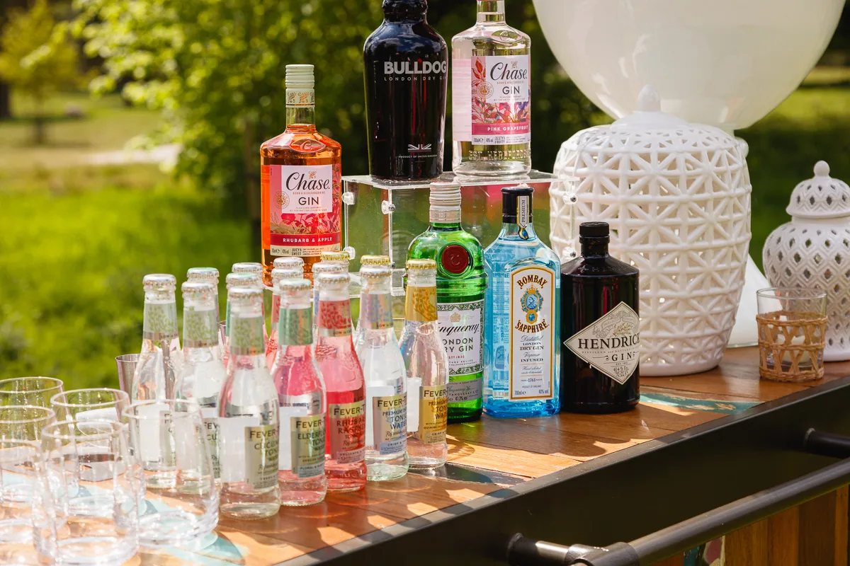 Gin bottles and mixers on outdoor table.