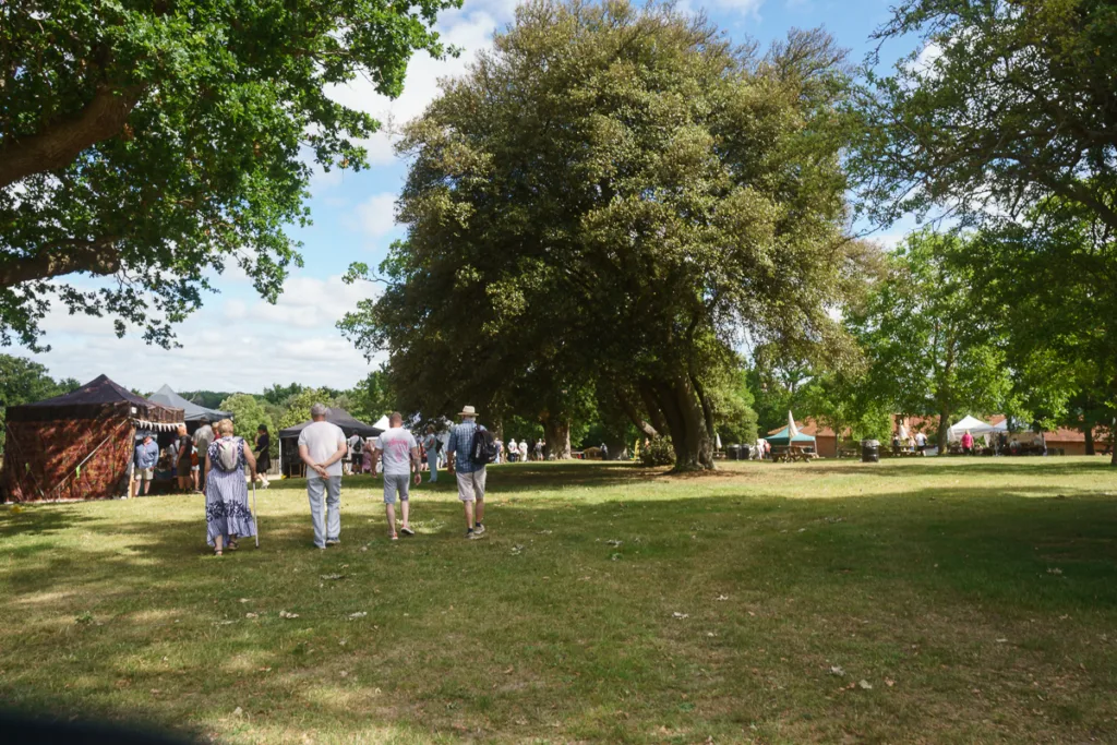 Outdoor fair with people and trees in park.