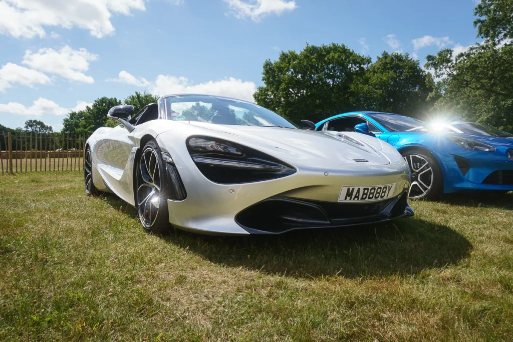 Silver sports car on grass, sunny day