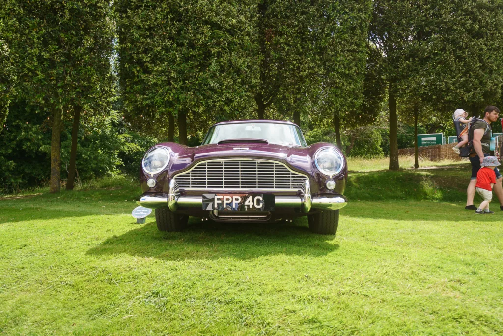 Classic purple car on grass, trees behind.