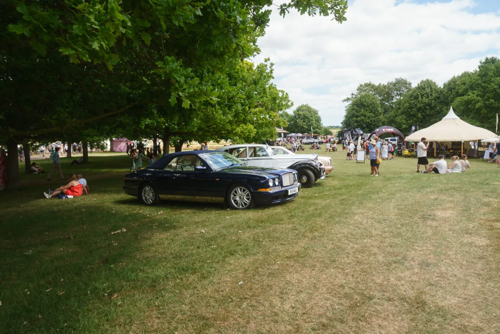 Classic car show on a sunny day in park.