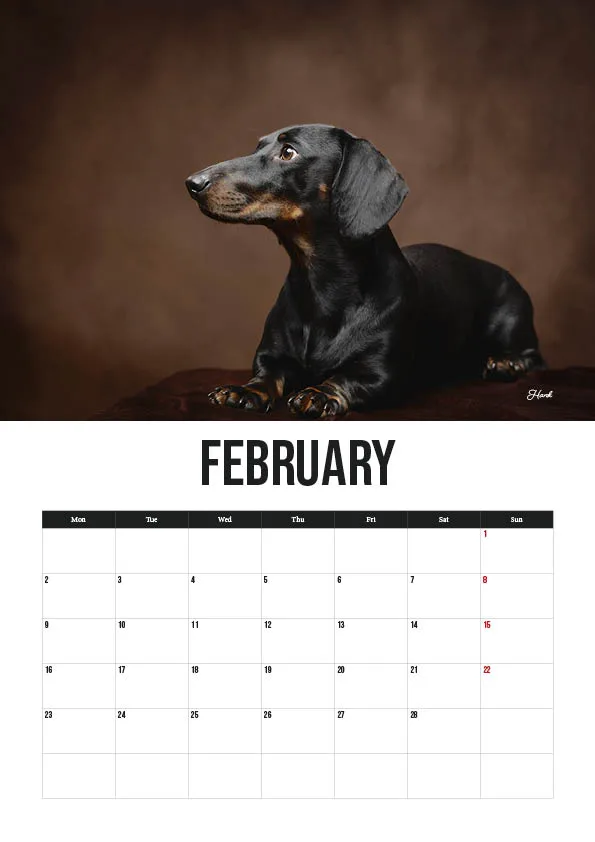 February calendar with dachshund dog photo.
