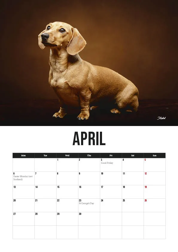 April calendar with dachshund dog image.