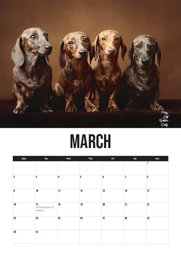 March calendar with four dachshunds on top.