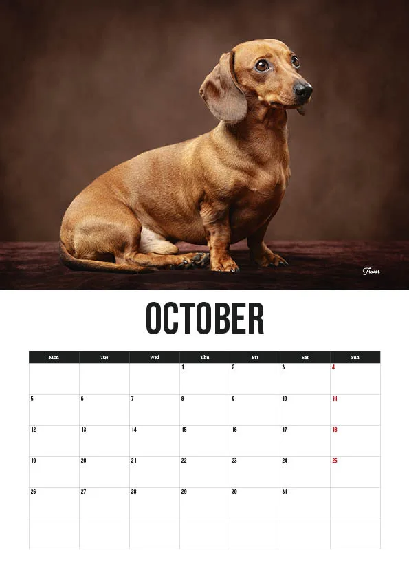 Dachshund on October calendar page.