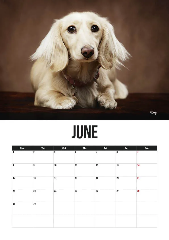 Dog calendar, June month.