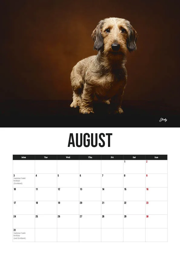 August calendar with dog portrait above.