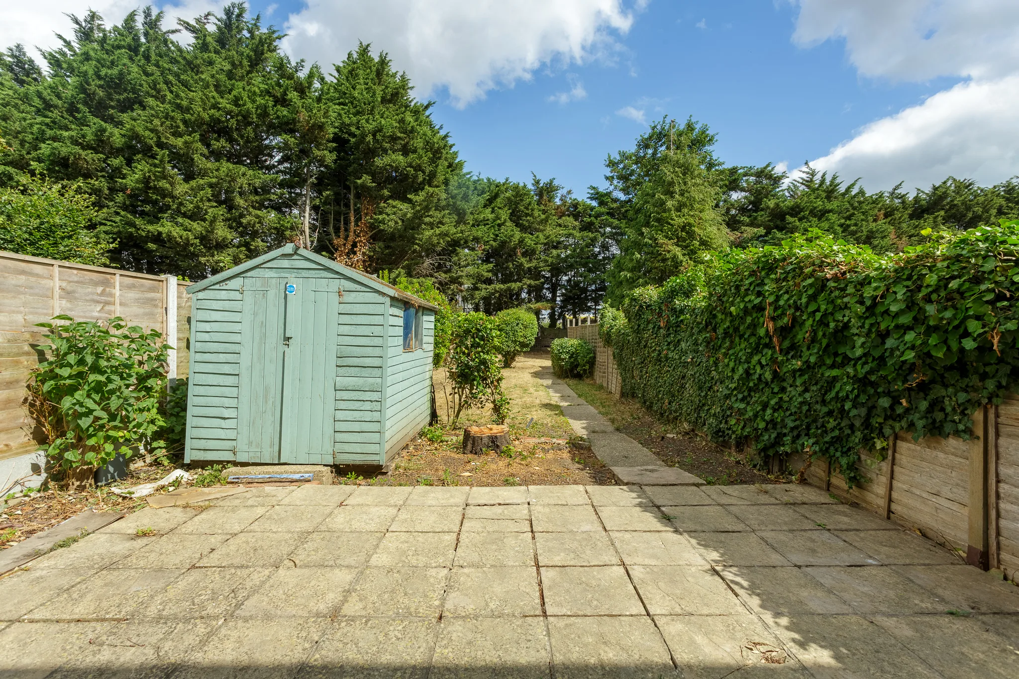 Green garden shed in allotment surrounded by hedges